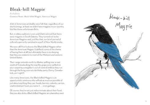 A DUMB BIRDS FIELD GUIDE TO THE WORST BIRDS EVER - KRACHT. MATT