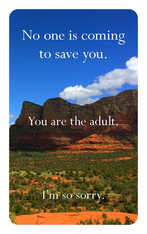 DISAPPOINTING AFFIRMATIONS DECK - TARNOWSKI. DAVE