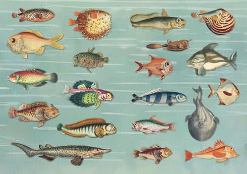 THE CURIOUS COLLECTIONS STICKER BOOK - SUTTON. EMILY