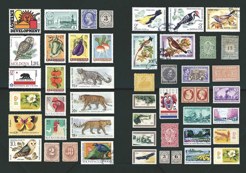 THE CURIOUS COLLECTIONS STICKER BOOK - SUTTON. EMILY