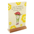 LITTLE FROG'S GUIDE TO SELF-CARE CARD DECK - EEQUAY. MAYBELL