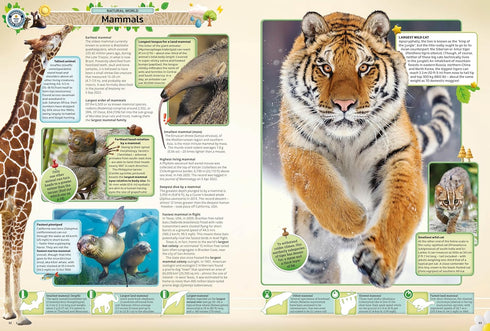 GUINNESS WORLD RECORDS 2025 - GUINNESS WORLD RECORDS