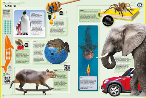 GUINNESS WORLD RECORDS 2026