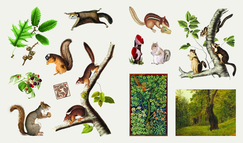 THE STICKER TREASURY OF WOODLAND ADVENTURES - SMITH STREET BOOKS