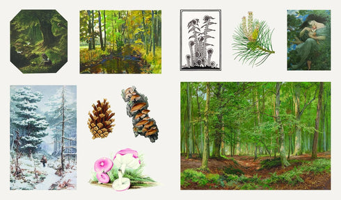 THE STICKER TREASURY OF WOODLAND ADVENTURES - SMITH STREET BOOKS