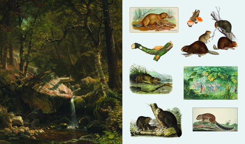 THE STICKER TREASURY OF WOODLAND ADVENTURES - SMITH STREET BOOKS