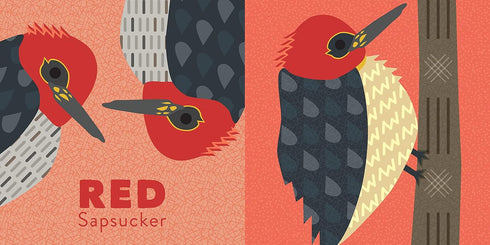 COLORS OF THE PACIFIC NORTHWEST - MULLEN. AMY BOARD BOOK