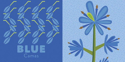 COLORS OF THE PACIFIC NORTHWEST - MULLEN. AMY BOARD BOOK