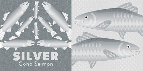 COLORS OF THE PACIFIC NORTHWEST - MULLEN. AMY BOARD BOOK