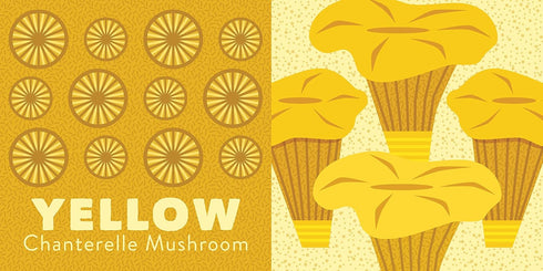 COLORS OF THE PACIFIC NORTHWEST - MULLEN. AMY BOARD BOOK