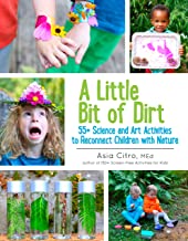 A LITTLE BIT OF DIRT: 55+ SCIENCE AND ART ACTIVITIES TO RECONNECT CHILDREN WITH