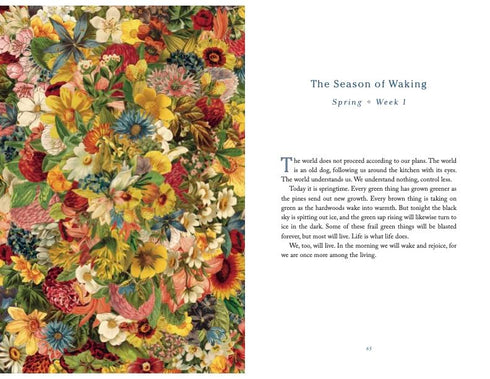 THE COMFORT OF CROWS