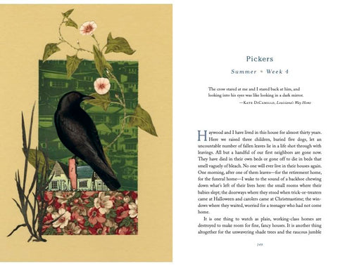 THE COMFORT OF CROWS