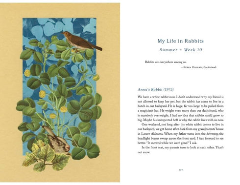 THE COMFORT OF CROWS