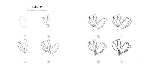 SO MANY THINGS: A BOXED SET OF 5 HOW-TO-DRAW FOR KIDS - KOCH. ALLI