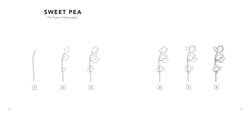 SO MANY THINGS: A BOXED SET OF 5 HOW-TO-DRAW FOR KIDS - KOCH. ALLI