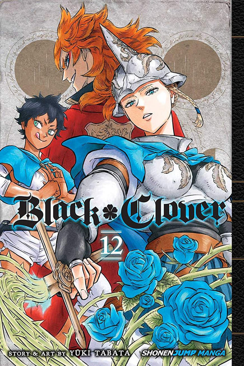 BLACK CLOVER 12 - TABATA. YUKI GRAPHIC NOVEL