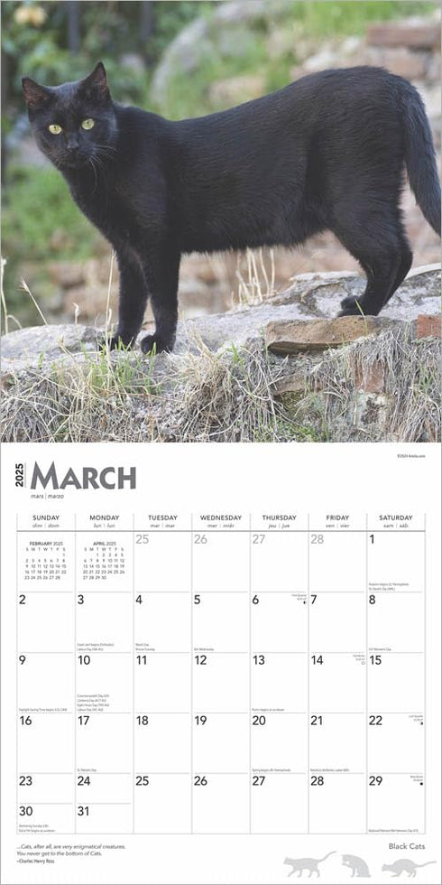 BLACK CATS 2025 WALL CALENDAR