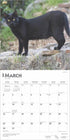 BLACK CATS 2025 WALL CALENDAR