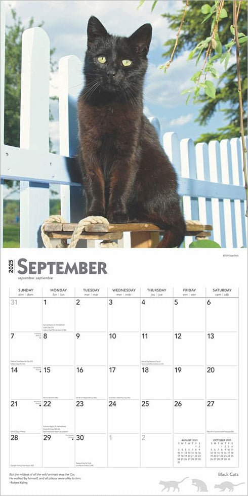 BLACK CATS 2025 WALL CALENDAR