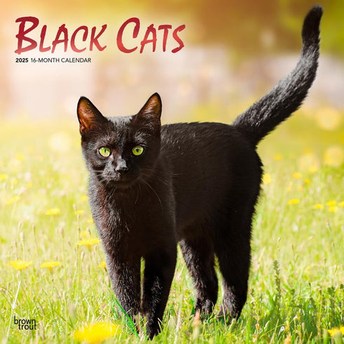 BLACK CATS 2025 WALL CALENDAR