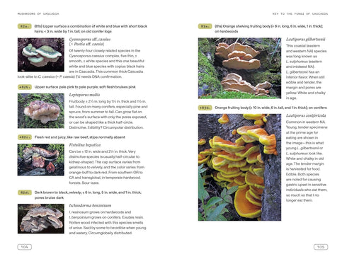 MUSHROOMS OF CASCADIA, 2ND ED.: ILLUSTRATED KEY TO THE FUNGI PNW - BEUG. MICHAEL