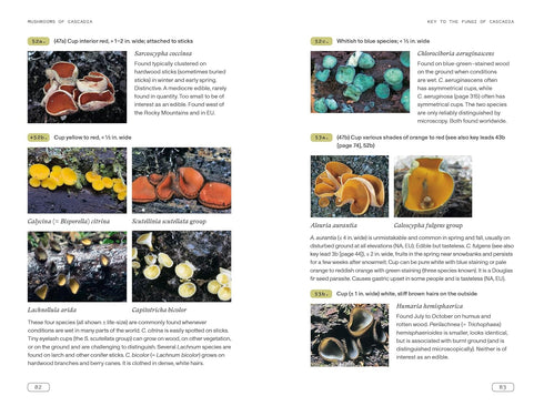 MUSHROOMS OF CASCADIA, 2ND ED.: ILLUSTRATED KEY TO THE FUNGI PNW - BEUG. MICHAEL