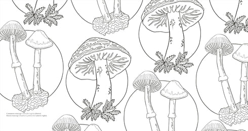 FACINATING FUNGI: OVER 75 MUSHROOM WONDERS TO COLOR - DK