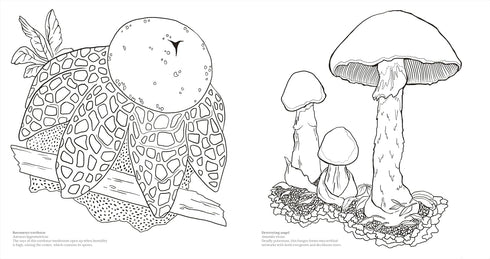 FACINATING FUNGI: OVER 75 MUSHROOM WONDERS TO COLOR - DK