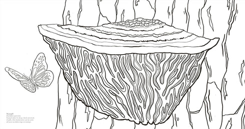 FACINATING FUNGI: OVER 75 MUSHROOM WONDERS TO COLOR - DK
