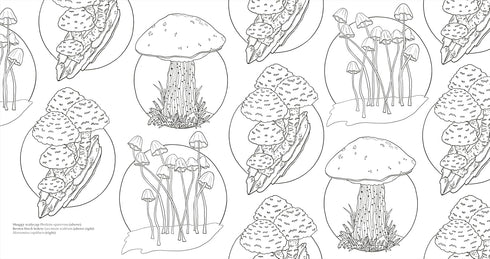FACINATING FUNGI: OVER 75 MUSHROOM WONDERS TO COLOR - DK