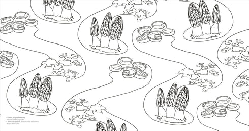 FACINATING FUNGI: OVER 75 MUSHROOM WONDERS TO COLOR - DK