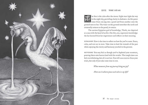 TAROT OF THE WOODLAND WARDENS: 78-CARD DECK & GUIDEBOOK - ROUX. JESSICA