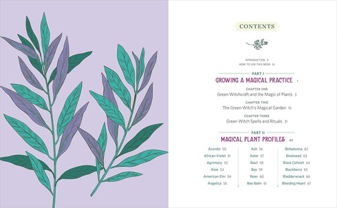 GREEN WITCH'S HERB AND PLANT ENCYCLOPEDIA: 150 INGREDIENTS - MORGANA. ROWAN