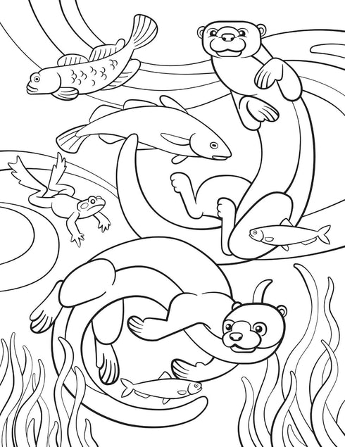 WOODLAND ANIMALS: STICKER BY NUMBER - OWEN. WELDON