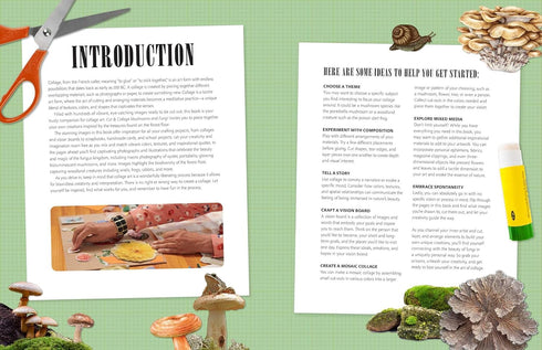 CUT & COLLAGE MUSHROOMS AND FUNGI - EARTH AWARE EDITIONS