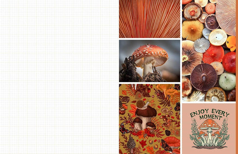 CUT & COLLAGE MUSHROOMS AND FUNGI - EARTH AWARE EDITIONS