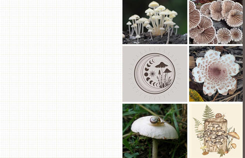 CUT & COLLAGE MUSHROOMS AND FUNGI - EARTH AWARE EDITIONS