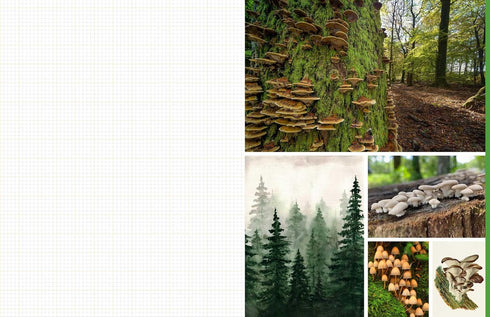 CUT & COLLAGE MUSHROOMS AND FUNGI - EARTH AWARE EDITIONS