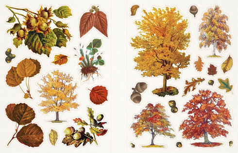 STICKER EMPORIUM CAULDRON OF CURIOSITES - JORDANO. POWELL