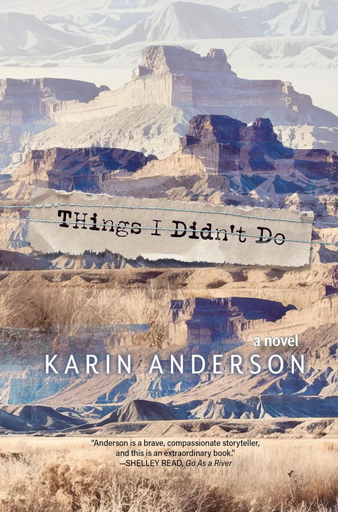 THINGS I DIDN'T DO - ANDERSON. KARIN