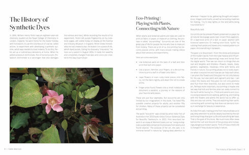 100 BOTANICAL COLORS: MAKE YOUR OWN ...FROM PLANTS - WARNOCK. CALEB