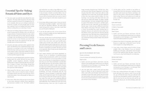 100 BOTANICAL COLORS: MAKE YOUR OWN ...FROM PLANTS - WARNOCK. CALEB