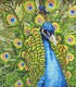 PEACOCK DIAMOND ART