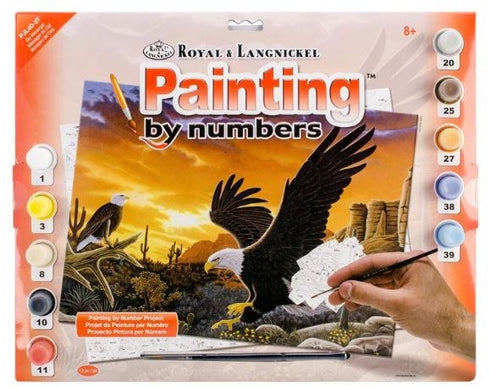 SKY MESSENGER PAINT BY NUMBERS