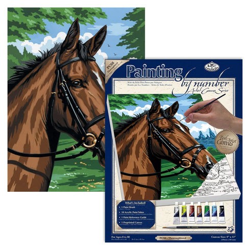THOROUGHBRED PAINT BY NUMBERS CANVAS