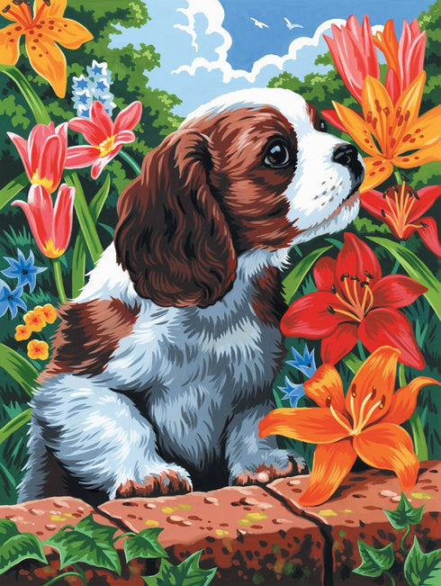 PUPPY & FLOWERS PAINT BY NUMBER CANVAS SMALL