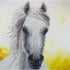WHITE HORSE DIAMOND ART KIT, INTERMEDIATE 12X12