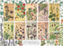 BOTANICALS BY VERNEUIL 1000 PIECE PUZZLE - VERNEUIL. M.P.