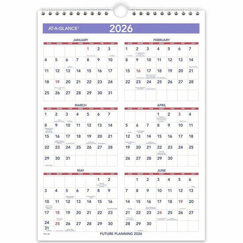 2025 WALL CALENDAR 8 X 11